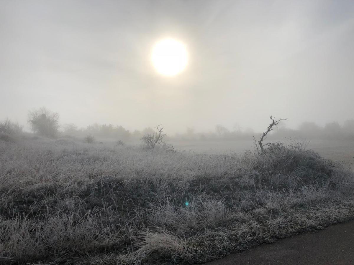 Visione Via Peltuino 19 Daire Prata d'Ansidonia Dış mekan fotoğraf